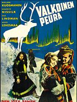 Poster der The White Reindeer