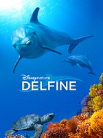 Poster der Delfine