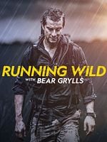 Bild von Bear Grylls: Stars am Limit