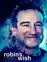 Poster der Robin's Wish