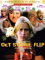 Poster der Det store flip