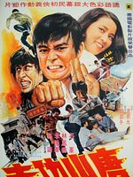 Poster der Shaolin Long Arm