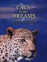 Poster der Katzen in meinen Träumen