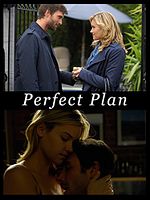 Poster der Perfect Plan