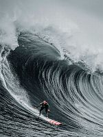 Bild von 100 Foot Wave