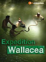 Poster der Wallacea - Expedition zur Wiege der Meeresfauna