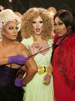 Poster der The Drag And Us