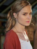 Poster der Rosamunde Pilcher: Herzensläufe