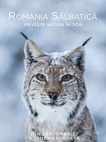 Poster der Wild Romania