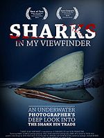 Poster der Sharks in My Viewfinder