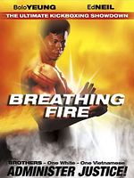 Poster der Bloodbrother - The Fighter, the Winner