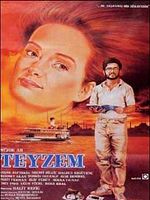 Poster der Teyzem