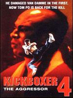 Poster der Kickboxer 4 - The Aggressor