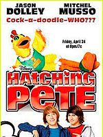 Poster der Hatching Pete