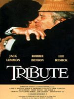 Poster der Ein Sommer in Manhattan