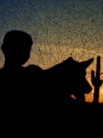 Poster der American Journal