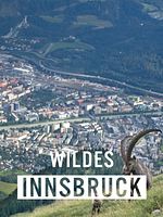 Poster der Wildes Innsbruck