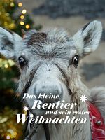 Poster der Das kleine Rentier und sein erstes Weihnachten