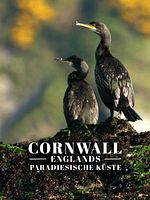 Poster der Cornwall - Englands paradiesische Küste