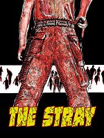 Poster der The Stray
