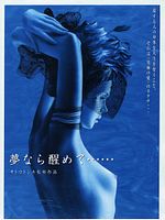 Poster der Perfect Blue