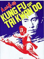 Poster der Valley of the Double Dragon