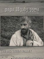Poster der Ein grosses, grünes Tal