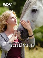Poster der Armans Geheimnis - Der Film