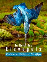 Poster der Im Reich des Eisvogels - Westerwalds fleißigster Fischjäger