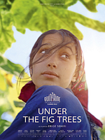 Poster der Under The Fig Trees