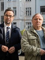 Poster der Tatort: Ein Freund, ein guter Freund