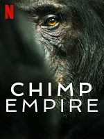 Bild von Chimp Empire