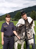 Poster der Mein Vater, der Esel und ich