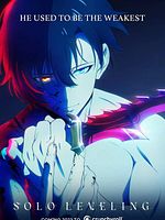 Bild von Solo Leveling