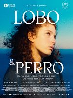 Poster der Lobo e Cão