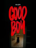 Poster der Good Boy