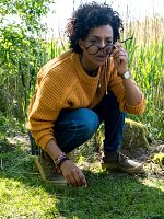 Poster der Malibu - Küss den Frosch