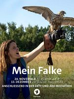 Poster der Mein Falke
