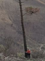 Poster der Tale of the Three Flames