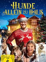 Poster der Hunde - allein zu Haus