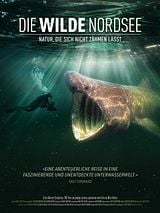Filmposter von Die wilde Nordsee - Natur, die sich nicht zähmen lässt