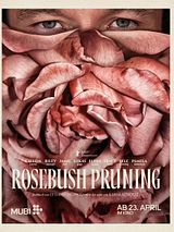 Filmposter von Rosebush Pruning