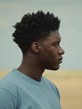 The Last Tree (Original Motion Picture Soundtrack)