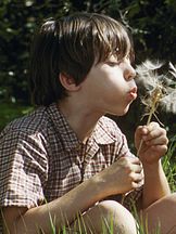 foto von Simon Delagnes