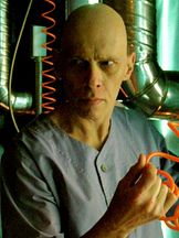 foto von Mackenzie Gray