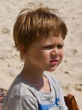 foto von Avi Shnaidman