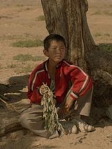 foto von Guo Songtao