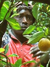 foto von Koudous Seihon