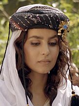 foto von Dimen Zandi (II)