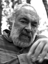 foto von Mohamad Al Rashi